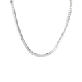 Alex_Silver_Choker_Necklace_1