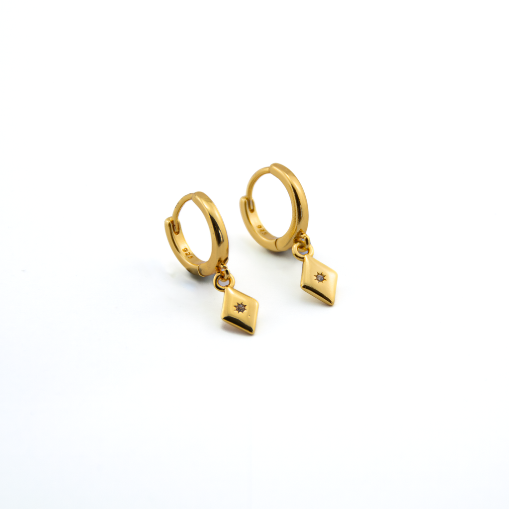 Hugo_Gold_Earrings_1
