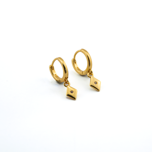 Hugo Gold Earrings