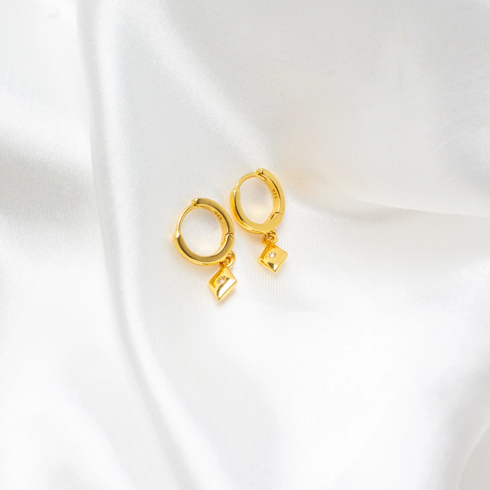 Hugo Gold Earrings