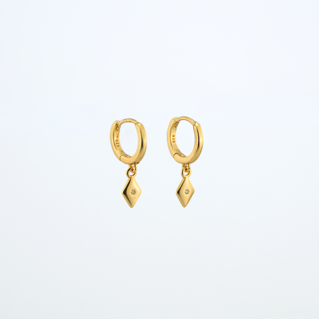 Hugo_Gold_Earrings_2