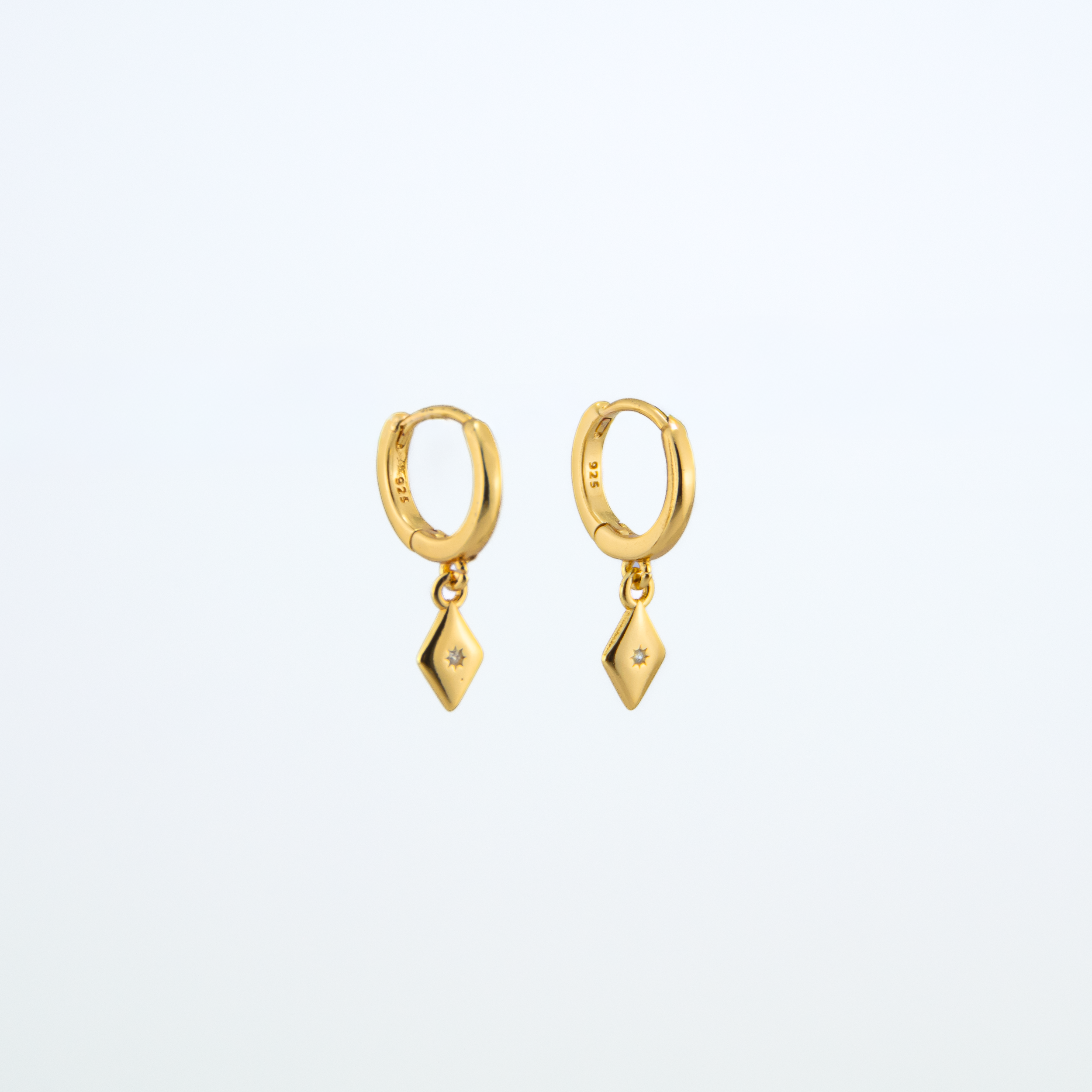 Hugo_Gold_Earrings_2