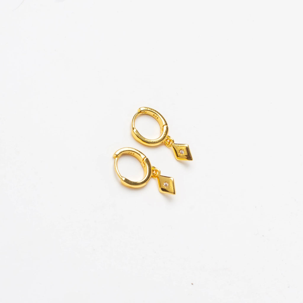 Hugo Gold Earrings