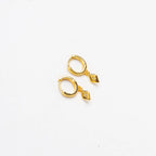 Hugo Gold Earrings