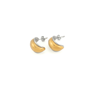 Neve Gold Silver Earrings