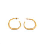 Skyla_Gold_Earrings_2