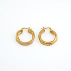 Voilet_Gold_Earrings_2